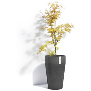 Vaso per piante Ecopots Sankara alto grigio scuro (Ø 35 cm) con pianta, ideale per interni ed esterni.