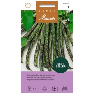 Samen Mauser haricot à rame Berner Landfrauen, graines pour haricots verts.