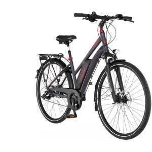 Vélo électrique de trekking Fischer Viator 1.0 pour femme, cadre trapèze, 28 pouces, avec porte-bagages et batterie.