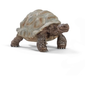 Tortue géante Schleich Wild Life détaillée comme figurine.