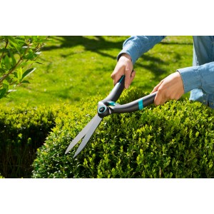Cisailles à haie Gardena Precision-Cut utilisées pour tailler une haie.