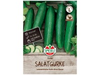 Sperli Saatgut Salatgurke Paska F1 5 Pflanzen