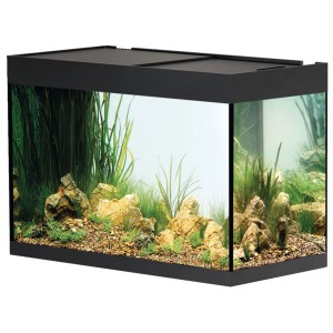 Oase Aquarium-Set Styleline 175 Noir avec plantes et pierres.