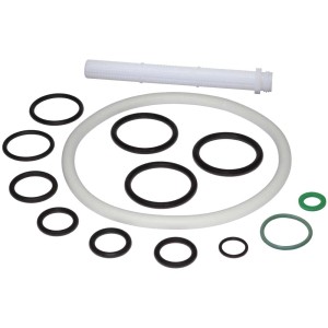 Kit de joints Birchmeier pour pulvérisateurs à pression Flox 10 et Iris 15, composé de différents joints toriques et d'un filtre.