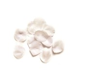 Rosenblütenblätter Weiss 100 Stk.