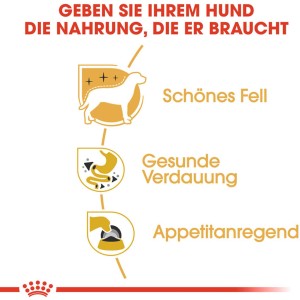 Royal Canin Chihuahua Adult umido: Grafiche per pelo, digestione e appetito.
