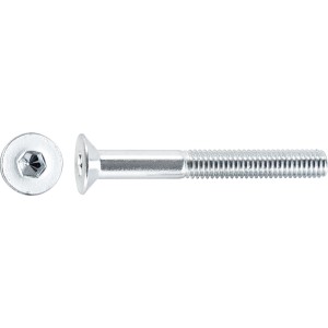 Vite filettata acciaio inossidabile zincato M5 x 80 mm / 10 pz.