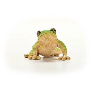 Schleich Wild Life rana verde, statuetta dettagliata per bambini.