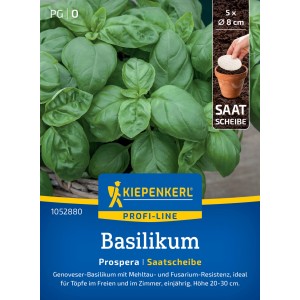 Disque de semis de basilic Kiepenkerl Prospera avec feuilles vertes.