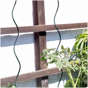 Tuteur spirale pour tomates Windhager, 180 cm, galvanisé, comme support pour les plants de tomates.