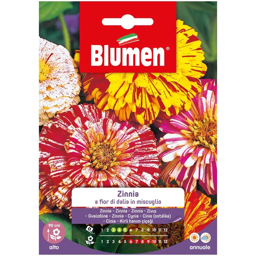 Blumen Mix Dahlienblütige Zinnie Zinnia elegans kaufen bei OBI