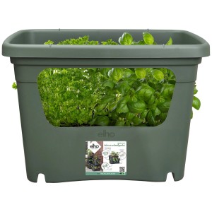 Vaso per la propagazione Elho Green Basics in verde foglia, piantato con erbe aromatiche, ideale per balconi e giardini.