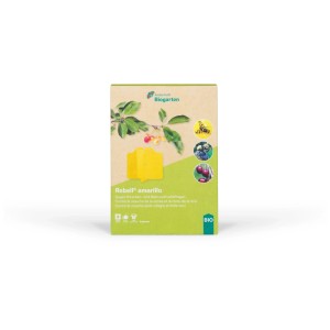 Piège jaune Rebell Amarillo pour réduire l'infestation de mouches des cerises et des noix.