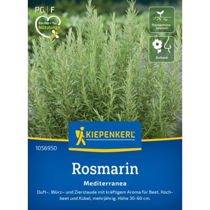 Kiepenkerl Rosmarin Mediterranea