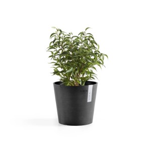 Pot de fleurs Ecopots Amsterdam Mini, gris foncé, 17 cm, avec plante verte.