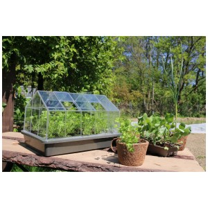 Vassoio per semina Videx Garden con coperchio e giovani piante su un tavolo di legno in giardino.