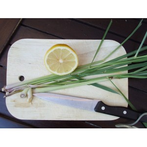 Blu citronnelle bio sur planche à découper avec citron et couteau. Herbes de cuisine pour plats asiatiques.