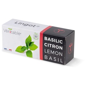 Véritable Lingot graines de basilic citron bio pour jardins d'intérieur.