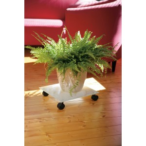 Rollante per piante quadrato in vetro bianco opaco, 35x35 cm, con pianta in vaso.