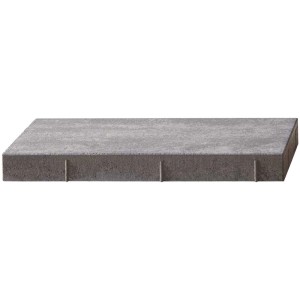 Lastra per terrazza Rayon Grigio-Alpino, 80x20 cm, pietra di pavimentazione in cemento per terrazze e vialetti.