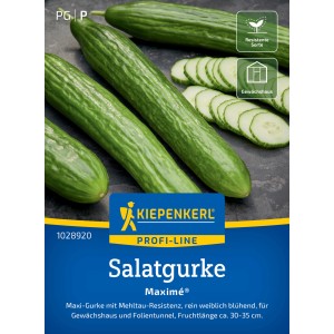 Concombre Kiepenkerl Maxime F1-Hybride : concombres vert foncé et lisses et rondelles de concombre sur fond sombre.