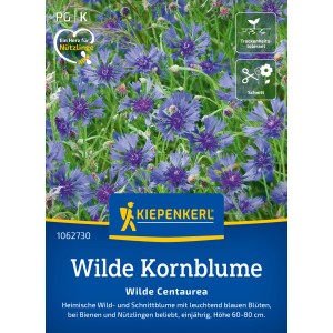 Kiepenkerl Bleuet sauvage : Bleuets bleus en fleurs dans le jardin, idéal pour les abeilles et les insectes utiles.