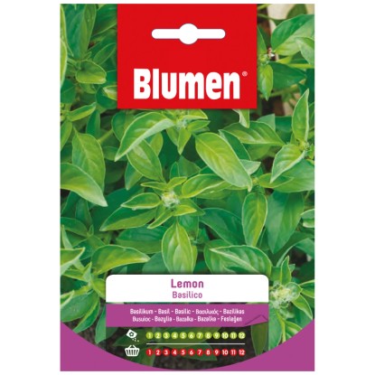 Samen Mauser Graines de basilic citron