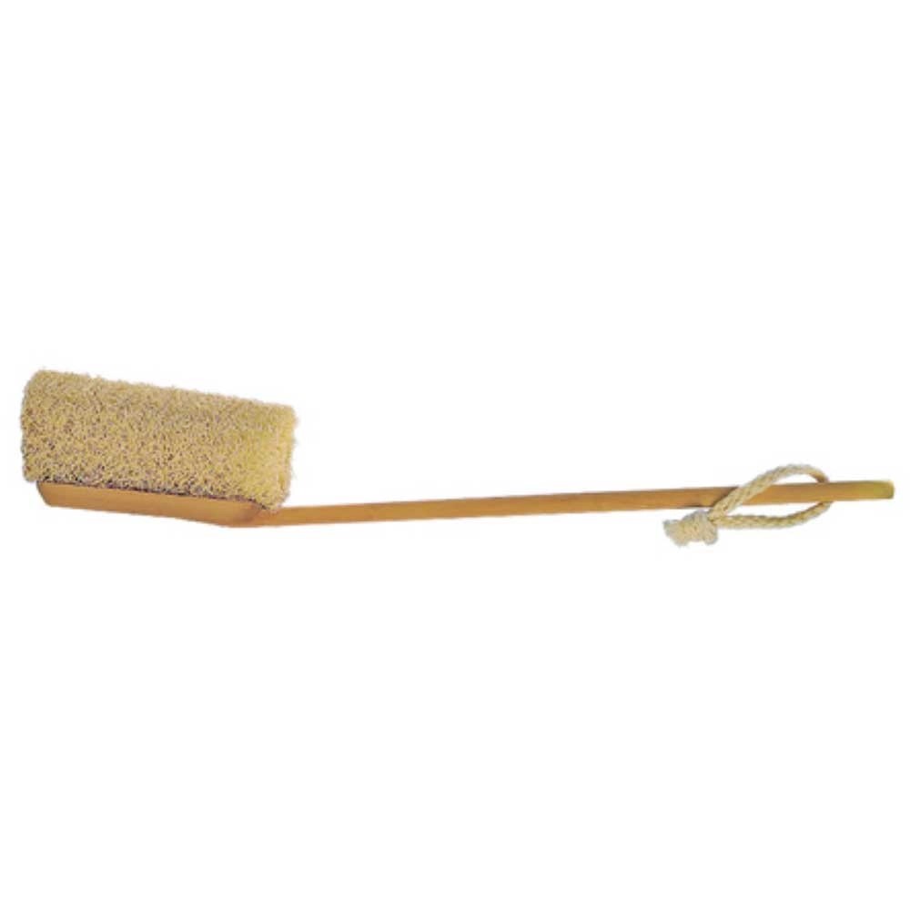 Brosse Pour Le Bain En Bois Avec éponge Loofah Manche Amovible Longueur 