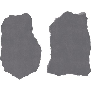 Deux pas japonais en pierre naturelle Blue-Stone, env. 45x35 cm, pour allées de jardin et terrasses.