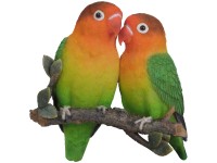 Love Bird