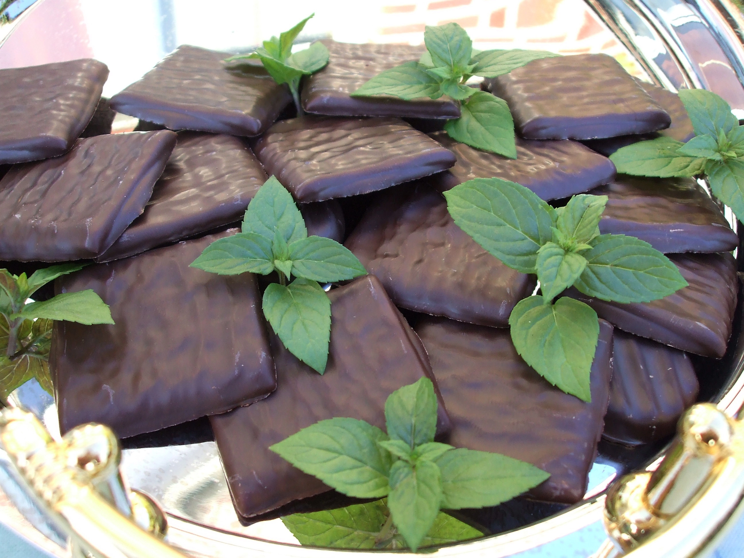 Menthe chocolat - Vente Mentha piperita Chocolate - Plant