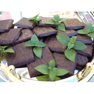 Menthe chocolat bio Blu (Mentha) en pot, idéale pour aromatiser desserts et cocktails.