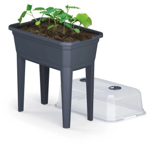 Set per semenzaio rialzato Ecoline antracite con coperchio e piante.