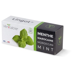 Véritable Lingot semi di erbe Menta marocchina in confezione con illustrazione di menta.