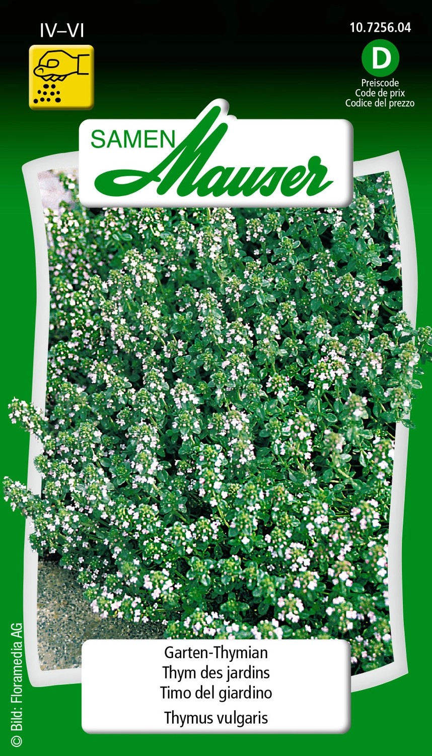 GartenThymian kaufen bei OBI