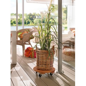 Wagner Multi Roller Toscana, Ø 380 mm, con pianta in cesto su terrazza.