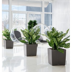 Pot de fleurs Lechuza Cube Premium, 40 cm, anthracite métallisé, avec plantes dans un cadre moderne.