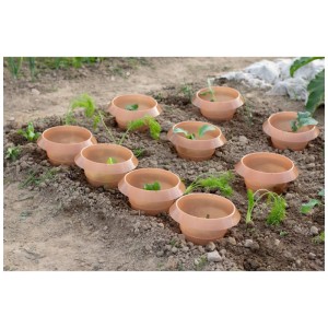 Arrêts anti-limaces en PP marron, 12 pièces, dans le parterre pour protéger les jeunes plantes.