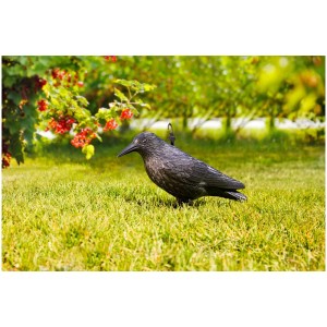 Windhager Gartenfigur Rabe, 37 cm, schwarz, zur Vogelabwehr und Dekoration im Garten.