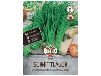 Sperli Saatgut Schnittlauch Staro