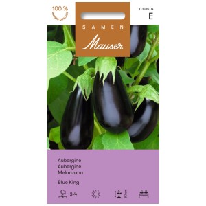 Sachet de graines d'aubergine Blue King : Aubergines violet foncé brillantes sur la plante.