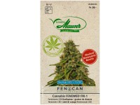 Hanfsamen Cannabis Fenomed FM-1 / 3 Stk. Hanfsamen Cannabis Fenomed FM-1 / 3 Stk.