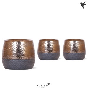 Kolibri Home Pot de fleurs Elite Copper, lot de 3, or/anthracite, pour orchidées.