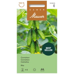 Sachet de graines Cornichon Rita : mini concombres verts à haut rendement sur la plante.