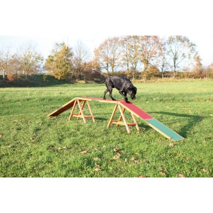Cane nero su passerella agility Trixie in legno con zone di contatto rosse e verdi.