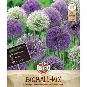 Bulbe de fleur Sperli Maxi Mélange d'ail d'ornement à grandes fleurs, fleurs violettes et blanches.