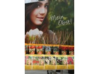 Beerenobst Besonderheiten Verschiedene Farben 2 l