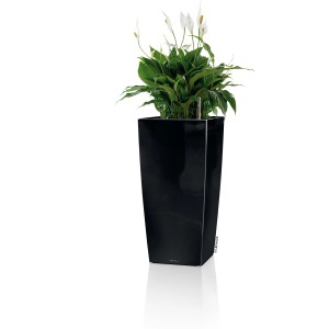 Pot de fleurs Lechuza Cubico Premium noir brillant, 22x22 cm, avec plante.
