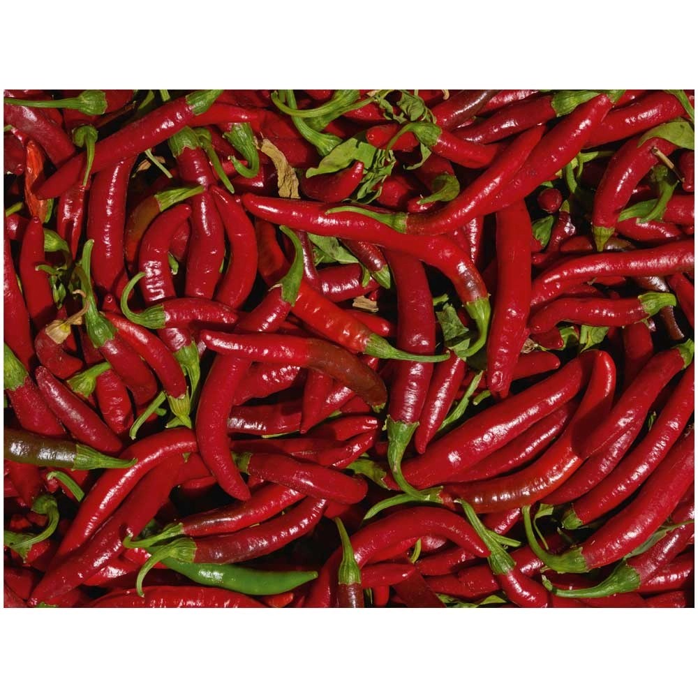 Gemüsesamen Scharfe Chili de Cayenne kaufen bei OBI
