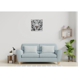 Leinwandbild White Tiger Nahaufnahme mit grünen Augen über hellblauem Sofa. Quadratisches Wandbild für Wohnzimmer, 45x45 cm.